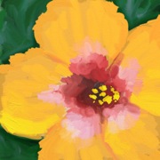 Hibiscus, 2013.  Digital.  8