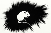 Graffitti Rat, 2011. Digital. 14